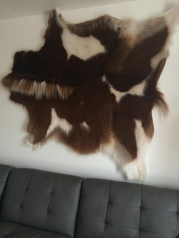 Hotel Ibudir Apartments Akureyri Dış mekan fotoğraf